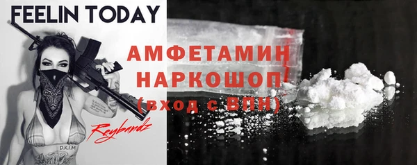 сатива Кулебаки