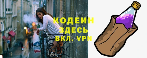 сатива Кулебаки