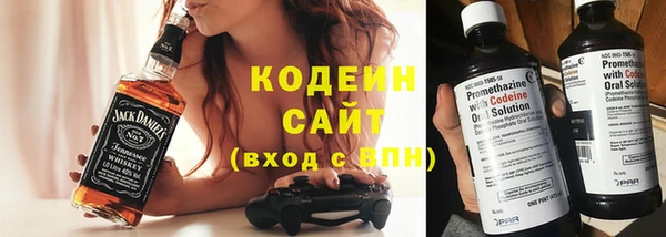 сатива Кулебаки