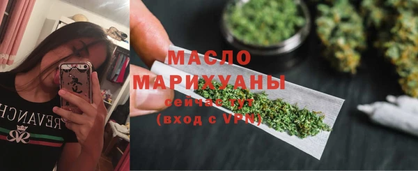 сатива Кулебаки