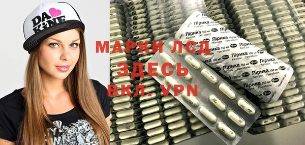сатива Кулебаки
