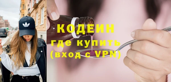 сатива Кулебаки