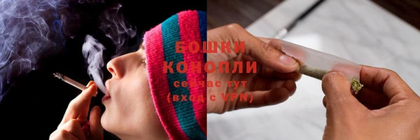 сатива Кулебаки