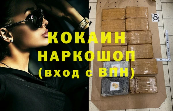 сатива Кулебаки