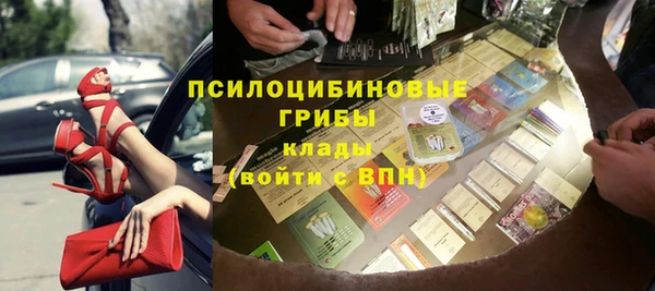 сатива Кулебаки