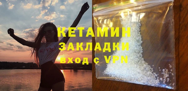 сатива Кулебаки