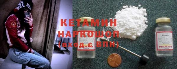 сатива Кулебаки