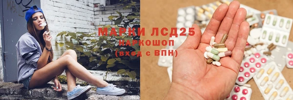 сатива Кулебаки